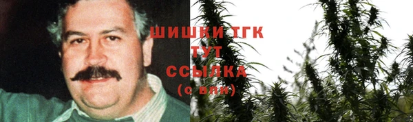 скорость Новозыбков