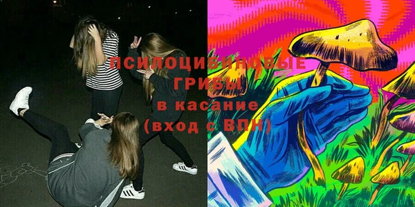 прущие грибы Сясьстрой