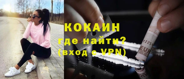 шишки Нязепетровск