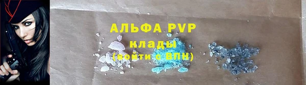 скорость Новозыбков