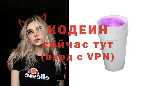 скорость Новозыбков