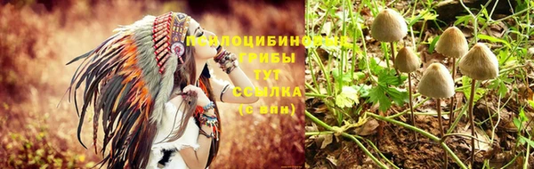 каннабис Новокубанск