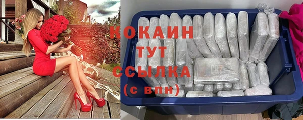 СК Няндома