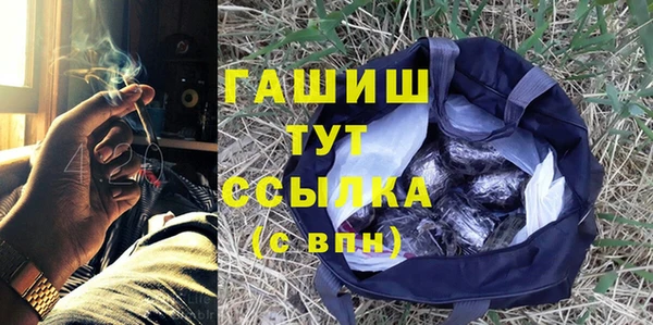 шишки Нязепетровск