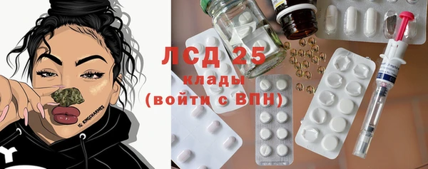шишки Нязепетровск