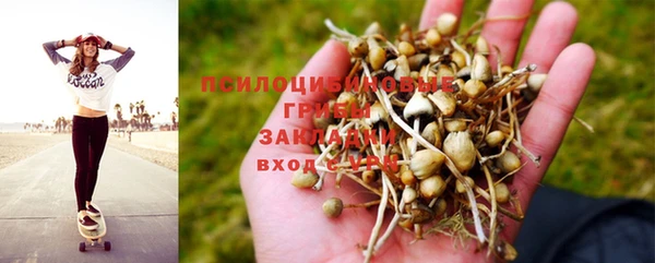 mix Тайга