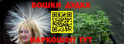 mdma Гатчина