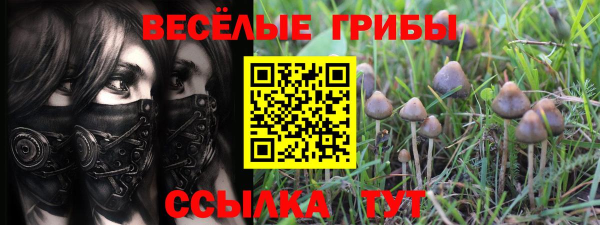 Галлюциногенные грибы Magic Shrooms  Галлюциногенные грибы мухоморы  Вход с VPN  Россошь 